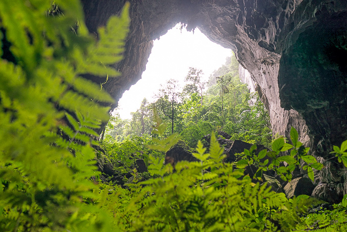 Phong Nha National Park