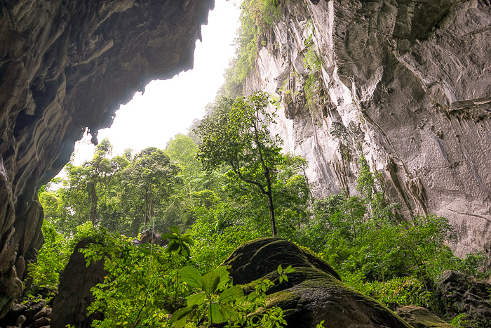 Read more about the article A Hike in the Phong Nha National Park