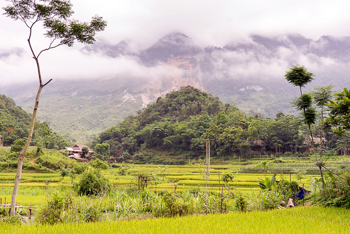 Pu luong