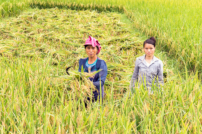 Read more about the article More Photos from Pù Luông