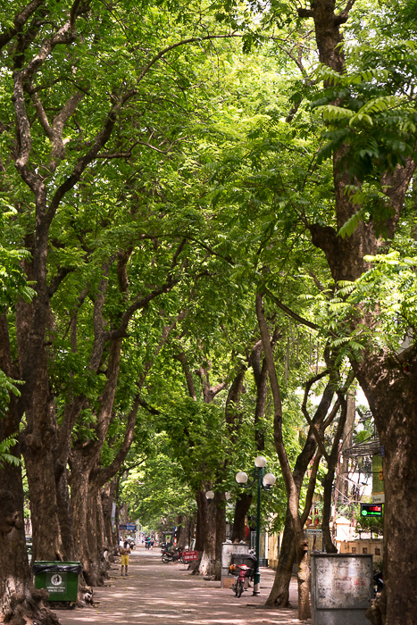 Hanoi’s most beautiful road