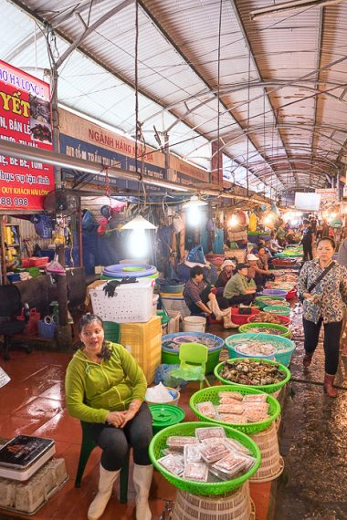 The Fish Market of Ha Long - Hanoi For 91 Days