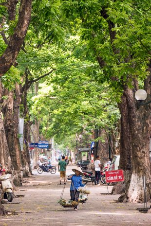 Phan Đình Phùng: Hanoi's Most Beautiful Road - Hanoi For 91 Days