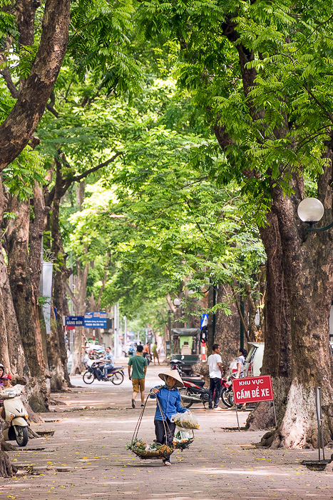 Read more about the article Phan Đình Phùng: Hanoi’s Most Beautiful Road