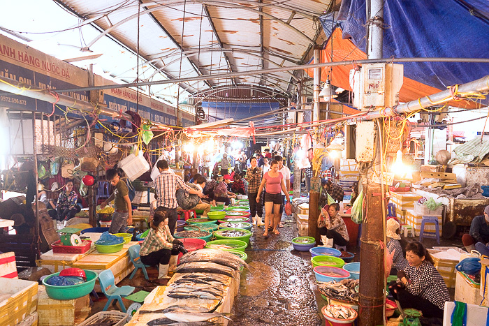 The Fish Market of Ha Long – Hanoi For 91 Days