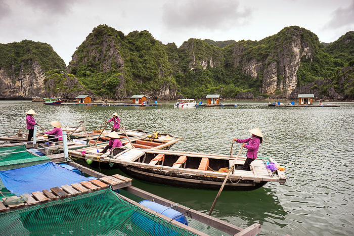 A Floating Fishing Village in Ha Long Bay - Hanoi For 91 Days