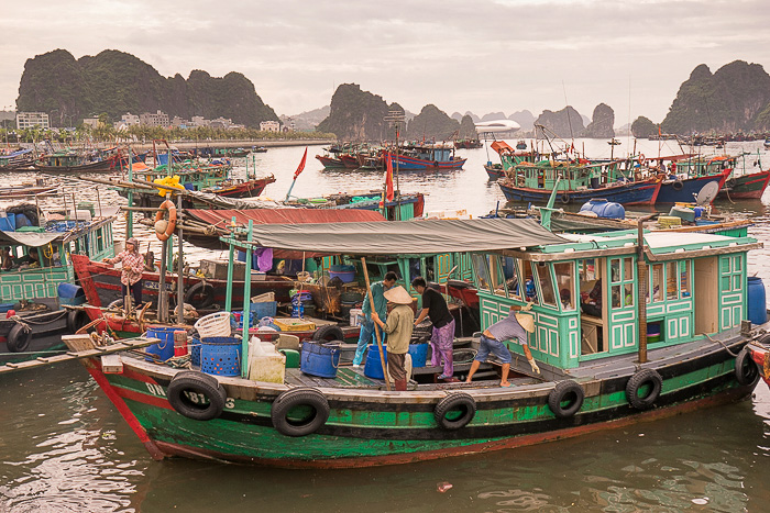 The Fish Market of Ha Long - Hanoi For 91 Days