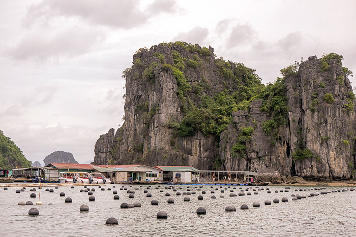 Read more about the article A Floating Fishing Village in Ha Long Bay