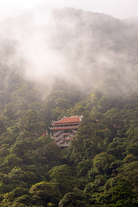 Read more about the article A Walk Through Bamboo Forests to Tam Đảo’s Mountain and Temple
