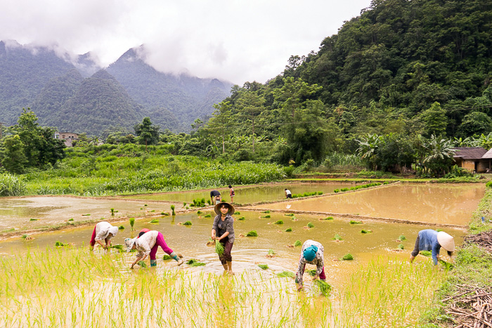 Read more about the article Our First Day in Ha Giang